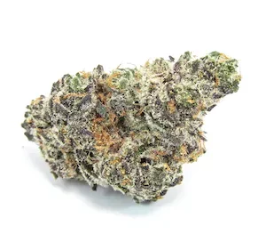 Apple Fritter