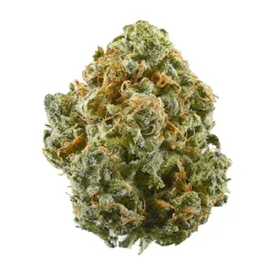 Alaskan Thunder Fuck