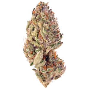 Slurricane